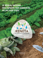 Image / illustration