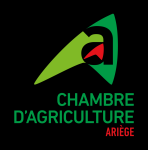 Image / illustration