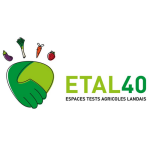 Image / illustration