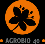 Image / illustration