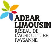 Image / illustration