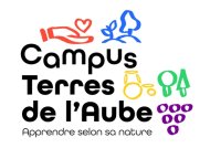 Image / illustration