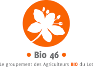 Image / illustration