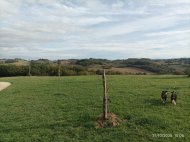 Image / illustration