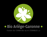 Image / illustration