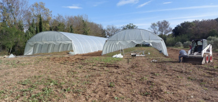 Image / illustration